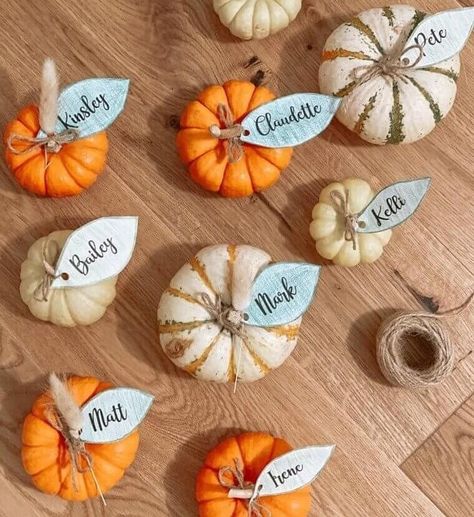 Thanksgiving Name Place Cards Pinecone, Thanksgiving Decorations Diy, Thanksgiving Diy, Diy Thanksgiving, Simple Budget, Thanksgiving Celebration, Thanksgiving Table Decorations, Diy Pumpkin, Mini Pumpkins