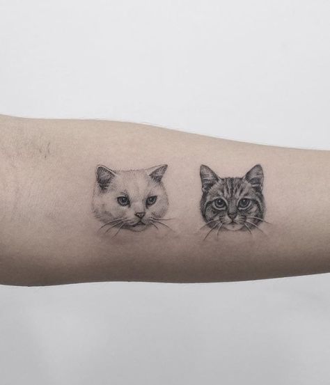 awesome cat tattoo ideas © tattoo artist ✿ Salmontattoo Austin ✧ @pettattoo.salmon ✿ ♡🧿♡🧿♡ #cattattoos #cooltattoos #inked #tattoolvoe #tattooinspiration #cats #besttattooideas Minimal Cat Tattoo, Cat Lover Tattoo, Cat Portrait Tattoos, Cat Tattoo Ideas, Cat Tattoo Simple, Cute Cat Tattoo, Sharpie Tattoos, Cat Tat, Scary Tattoos