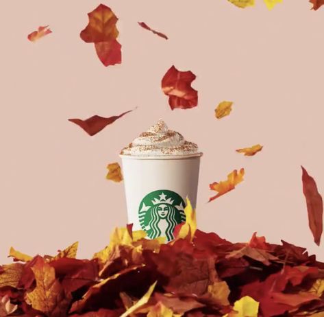 Thanksgiving Product Photoshoot, Starbucks Campaign, Autumn Product Photography, Fall Product Photography, French Coffee Shop, Thanksgiving Ads, Coffee Starbucks, Fall Games, Night Sky Painting