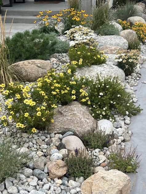 Front Yard Landscaping White Rocks, Rockery Garden Ideas, Landscaping Boulders, Layer A Bed, Hallway Christmas Decor, Wood Crafts To Sell, Scrap Wood Christmas, Christmas Decor Green, Cake Luxury