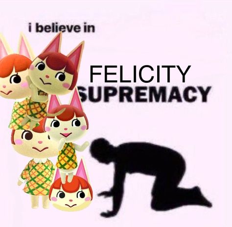 Felicity Acnh, Felicity Animal Crossing, Animal Crossing Memes, Hello Kitty Images, Kitty Images, Jojo Anime, Fresh Memes, Animal Crossing, Art Sketches