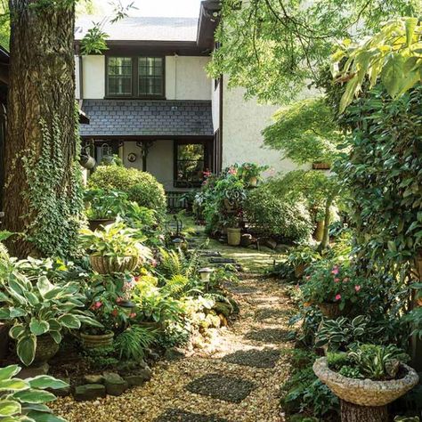 Cottage Journal, Flagstone Path, Cottage Style Homes, Green Backdrops, Peat Moss, Garden Photography, Blooming Plants, Garden Oasis, Tall Plants