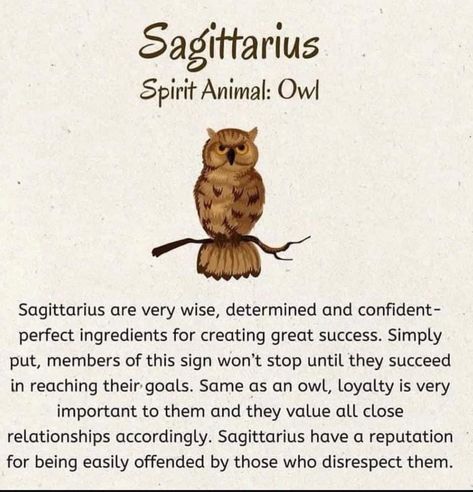 Spirit Animals, Easily Offended, Close Relationship, Spirit Animal, Animals