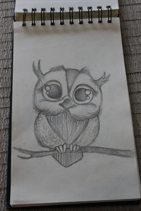 Look cute. Drawing ideas. Animals. Big eyes. Big Eye Animals Drawing, Cute Animal Eyes Drawing, Big Drawings Ideas Sketch, Drawing Ideas Animals, Big Drawings, Cute Drawing Ideas, Pencil Sketches Easy, Start Drawing, Watercolor Beginner