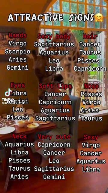 Funny Zodiac Signs, Pisces And Leo, Virgo And Sagittarius, Pisces And Capricorn, Leo And Aquarius, Aries And Pisces, Aries And Gemini, Zodiac Signs Chart, Libra Zodiac Facts