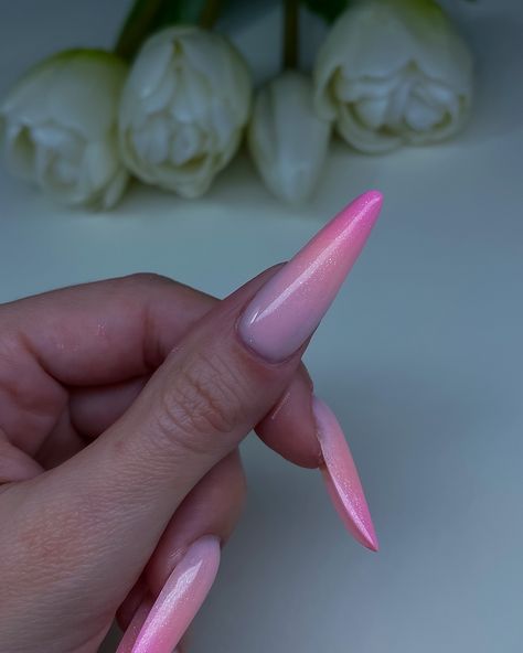 🧡 Pink Sunset Babyboomer 🩷 Calling last rays of summer sunshine with this duo toned babyboomer. For this Lacoste almond, I mixed custom shades of peachy orange and cherry blossom pink 🌸. Everything is finished with Glitzy Silver Diamond top coat for subtle shimmer.✨ Materials used are: • @jananails_shop Thick Base • @madinailshop Milky Builder Gel #2 • Madinail No wipe neon gel paint #3 & #2 • Jana Nails Thick Art Gel White • Jana Nails Glitzy Silver Diamond top coat #lacostenails #almondn... Lacoste Pink, Pink Everything, Gel Paint, Peachy Orange, Thick Base, Duo Tone, Diamond Top, Builder Gel, Custom Shades