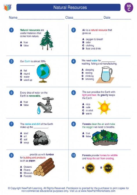 Natural Resources. Social Studies Worksheets and Study Guides Third Grade. Grade 4 Natural Science Worksheets, Natural Resources Worksheet, Natural Resources Activities, Third Grade Worksheets, Science Homework, Third Grade Social Studies, Science Anchor Charts, Kindergarten Phonics Worksheets, Third Grade Resources