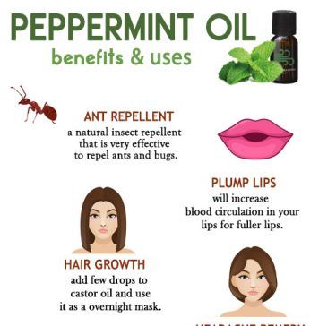 Peppermint Oil Benefits and Uses Peppermint Oil For Hair Growth, Peppermint Oil For Hair, Peppermint Oil Benefits, Hair Thickening Serum, Treat Thinning Hair, Exfoliate Scalp, Make Hair Thicker, Fresh Aloe Vera Gel, Thick Hair Growth