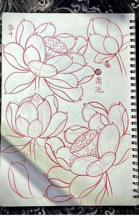 Japanese Lotus Painting, Lotus Sketch Drawing, Lotus Chinese Painting, How To Draw Lotus, Japanese Lotus Flower Tattoo Design, How To Draw Lotus Flower, Lotus Drawing Tattoo, Lotus Drawing Art, Lotus Flower Drawing Tattoo