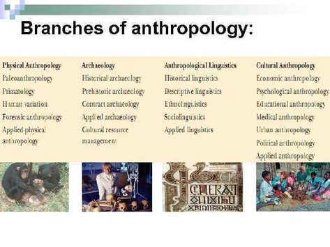 Anthropology is the study of humans, early hominids and primates. Physical or biological anthropologists study the remains of human beings and hominids to investigate human disease, diet, genetics and lifestyle. Anthropology study human language, culture, societies, biological and material remains (live science, 2014) Books On Anthropology, Anthropologist Career, Anthropology Student Aesthetic, Anthropology Major Aesthetic, Anthropology Pictures, Cultural Anthropology Aesthetic, Anthropologist Aesthetic, Archeology Student, Early Hominids