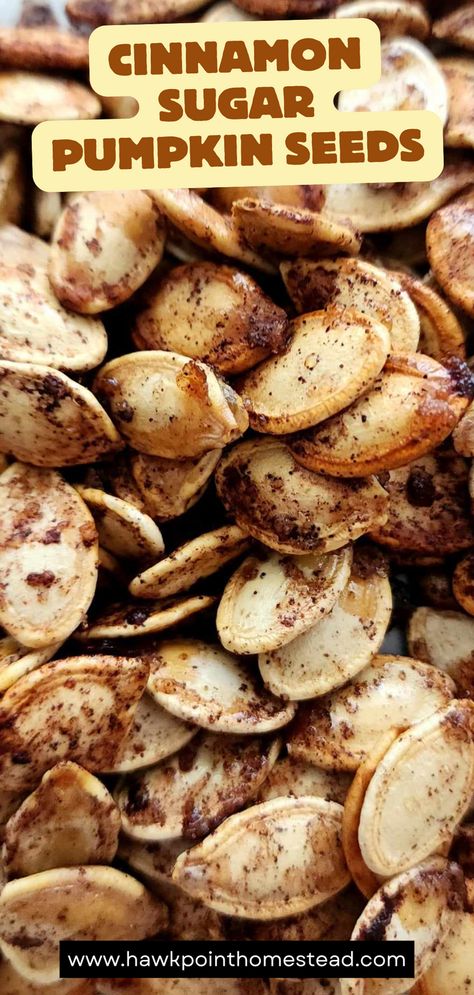 These cinnamon sugar roasted pumpkin seeds are a different sweet take on the yummy snack of pumpkin seeds. Mix the taste of yummy cinnamon sugar toast with the crunchy pumpkin seeds and you get a satisfying fall snack!

I love roasting the pumpkin seeds with different spices and seasonings. These sweet pumpkin seeds are a favorite!

Making roasted pumpkin seeds is easy and an activity kids will enjoy. Plus roasting the pumpkin seeds gives them a great crunchy healthy snack that they will love! Easy Pumpkin Seeds Recipe Roasted, Pumpkin Seed Recipes Sweet, Pumpkin Seed Recipes Cinnamon, Cinnamon Sugar Pumpkin Seeds, Pumpkin Seeds Cinnamon, Easy Pumpkin Seeds, Seasoned Pumpkin Seeds, Pumpkin Seed Recipes Roasted, Roasted Pumpkin Seeds Recipe