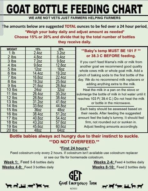 Bottle Feeding Chart, Goat Feeder, Goat Pen, Feeding Goats, Goat Care, Goat Barn, Boer Goats, Raising Goats, Farm Fun