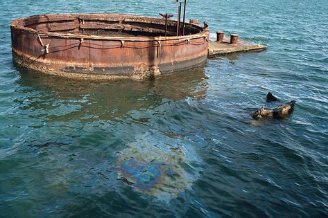 The USS Arizona - 5 Facts You May Not Know and 30 Photos Us Navy Flag, Uss Arizona Memorial, Uss Missouri, Uss Arizona, Rome Antique, Pearl Harbor Attack, Naval History, Pearl Harbor, Navy Ships