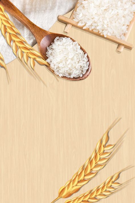 simple, creative, wheat, grain, rice, rice, background, material Rice Background Design, Rice Wallpaper, Wallpaper Aes, Rice Crop, Agriculture Photos, Grain Background, Golden Rice, Rice Plant, Wheat Rice