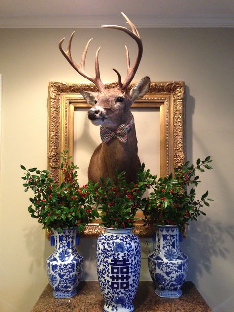 Christmas deer with holly Deer Heads On Wall Ideas, Deerhead Mounts Decor, Decorating With Animal Mounts, Decorating With Deer Heads, How To Decorate With Deer Mounts, Deer Mount Decor Family Rooms, Deer Mount Wall Arrangement, Mounted Deer Head Decor, Deer Mounts In Living Room Farmhouse