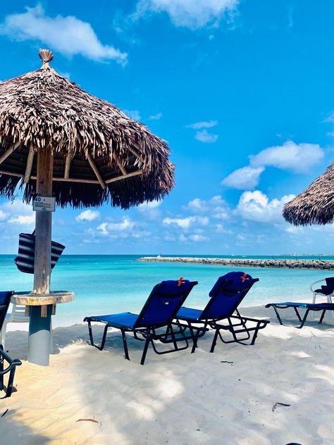 Nothing better than Palm Beach in Aruba! This is a photo from the @diviresorts Divi Phoenix. Soft sand, comfy chairs and yhr most amazing view from sunrise to sunset. #aruba #arubatourism #diviresorts @arubatourism @visitaruba Aruba Palm Beach, Palm Beach Aruba, Comfy Chairs, Aruba, Palm Beach, Patio Umbrella, Phoenix, Tourism, A Photo