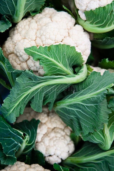 Cauliflower Vegetable, Raw Cauliflower, Vegetable Pictures, Flyer Ideas, Business Flyer, Art Class, Stock Images, Lily, Diet