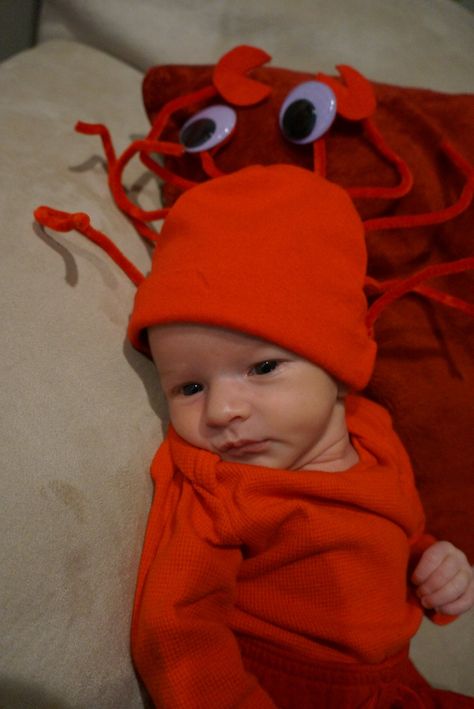 Sebastian the crab costume.  Take a red hat and sew red pipe cleaners to hat.  Cut claws out of red felt and stick on big googley eyes. Infant Crab Costume, Sebastian Costume, Nicu Halloween, Homemade Mermaid Costumes, Crab Costume, Cleopatra Halloween Costume, Ninja Turtle Costume, Googley Eyes, Deer Costume