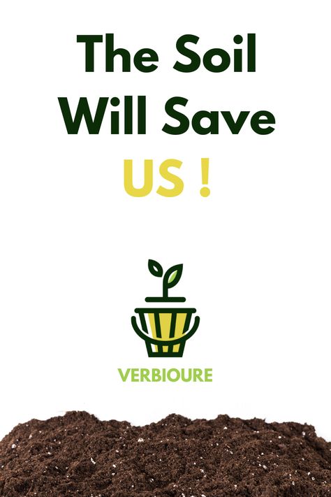 Verbioure is an online platform which provides Vermi-compost delivered at your doorstep. For Orders & More Information Please WhatsApp – +91 7386878532 Vermi Compost, Soil Conditioner, Organic Fertilizer, Organic Farming, The Environment, More Information, Soil, Conditioner