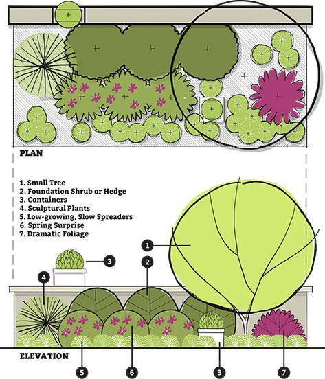 Our Top 10 Gardening Tips for Growing Confidently Privacy Garden Plan, Foundation Planting Plans, Tree Planting Layout, Structured Landscape Design, Landscape Layout Plan, Planting Plan Landscape Architecture, Garden Planting Layout, Intensive Planting Layout, Planting Strategy Landscape Architecture