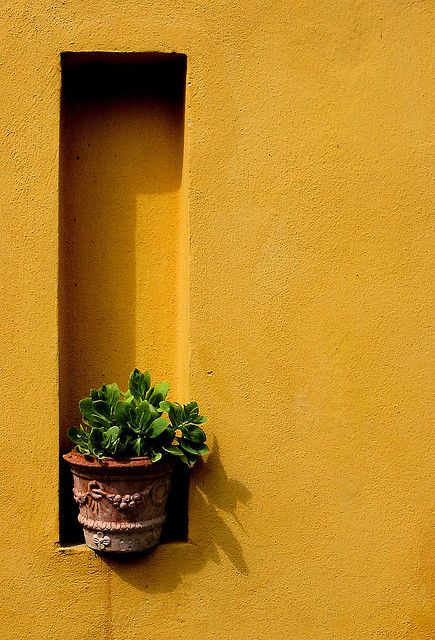 Yellow Architecture Aesthetic, Fashion Wallpaper Aesthetic, Arizona Decor, Old Paper Background, Minimal Photography, Cute Black Wallpaper, Wallpaper Nature Flowers, Instagram Ideas Post, Best Poses For Pictures