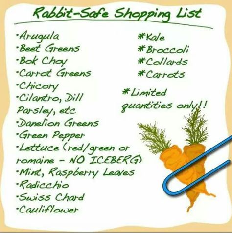 Good bunny food! 2 cups per day per 5 pounds body weight Pet Rabbit Care, Rabbit Diet, Rabbit Treats, Moon Rabbit, Raising Rabbits, Pet Bunny Rabbits, Rabbit Life, Bunny Care, Bunny Cages