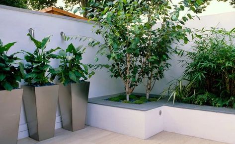 50+ ideas for small garden design Garden Design London, Small Urban Garden, Small City Garden, Bamboo Bed, Small Courtyard Gardens, Courtyard Gardens Design, Small Patio Garden, Back Garden Design, London Garden