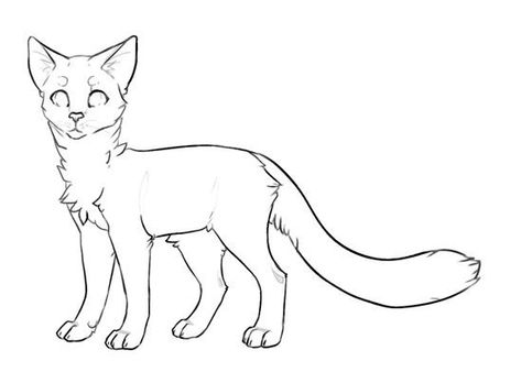 Warrior Cats Outline, Warrior Cats Coloring Pages, Cat Base Drawing, Animal Base, Wolf Base, Free To Edit, Cat Outline, Base Drawing, Cat Anatomy