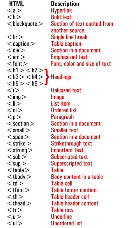 Html Code Web Design, Computer Science Quotes, Coding Basics, Html Tags, Html Tutorial, Back To University, Basic Computer Programming, Web Development Programming, Computer Science Programming