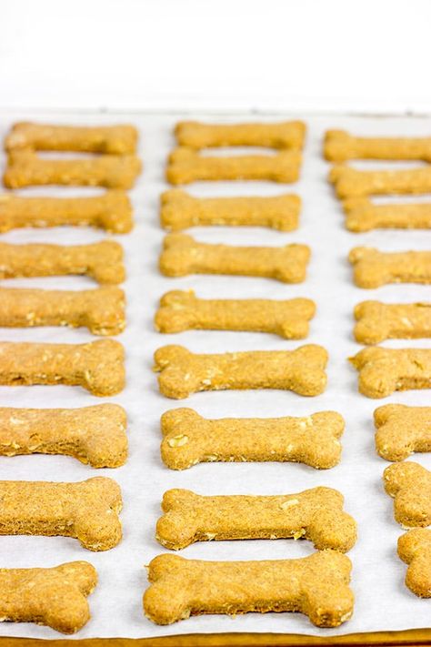 Peanut Butter Oat Dog Bones | Bake up a batch for your 4-legged friends! Peanut Butter Dog Biscuits, Dog Cookie Recipes, Dog Treats Homemade, Peanut Butter Oat, Oatmeal Peanut Butter, Chocolate Peanut Butter Cupcakes, Homemade Oatmeal, Peanut Butter Oats, Healthy Dog Treats Homemade