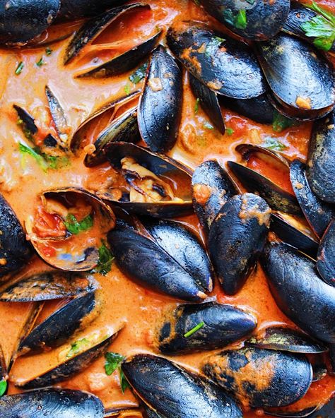 Mussels Recipe Chorizo, Mussels And Chorizo Recipe, Mussels With Chorizo Recipe, Chorizo Mussels Recipe, Mussels And Clams Recipe, Cajun Mussels, Chorizo Mussels, Spanish Mussels Recipe, Italian Mussels