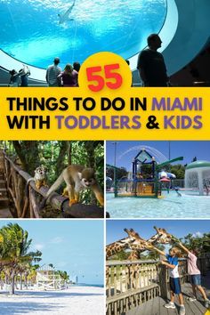 Discover the ultimate guide to 55 Things To Do In Miami With Kids 2024: Hacks, Tips, and Secret Locations! Perfect for planning your next Miami family vacation, this comprehensive list covers everything from family destinations and things to do in Miami to secret spots that will delight toddlers and young kids. Whether you’re exploring Miami with kids for the first time or seeking new adventures for Florida family vacations, our tips and hacks will ensure unforgettable memories. Dive into family-friendly things to do in Miami and make the most of your Miami family vacation with activities and destinations tailored for all ages. Must Do In Miami, Miami With Kids, Best Vacations With Kids, Fun Places For Kids, Florida Family Vacation, Things To Do In Miami, Miami Vacation, Disney World Vacation Planning, Secret Location