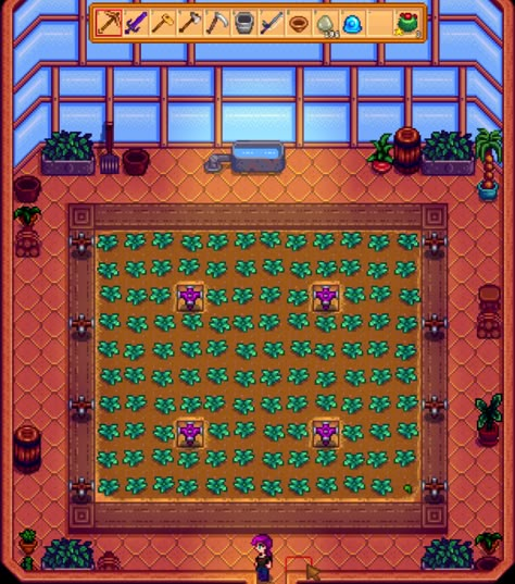 Stardew Valley Greenhouse, Greenhouse Layout, Stardew Valley Guide, Stardew Valley Farm Ideas, Farm Layouts, Stardew Farm, Stardew Farms, Stardew Valley Ideas, Stardew Valley Farm