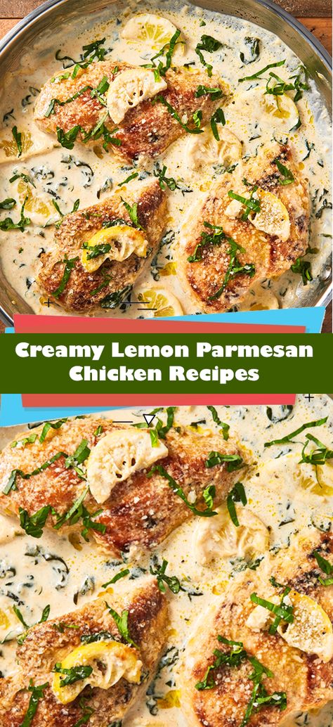 The Pioneer Woman’s Best Chicken Dinner Recipes Creamy Lemon Parmesan Chicken, Lemon Parmesan Chicken, Flounder Recipes, Box Recipes, Parmesan Chicken, Delish Recipes, Lunch Recipes Healthy, Weeknight Dinners, Chicken Parmesan