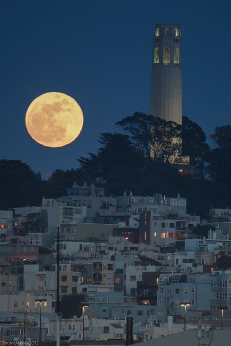 Coit Tower San Francisco by Tim McManus Coit Tower San Francisco, Bay Area Photography, San Francisco Girls, San Francisco Photos, Living In San Francisco, Beautiful Lighthouse, San Pablo, San Francisco Travel, Nicholas Sparks