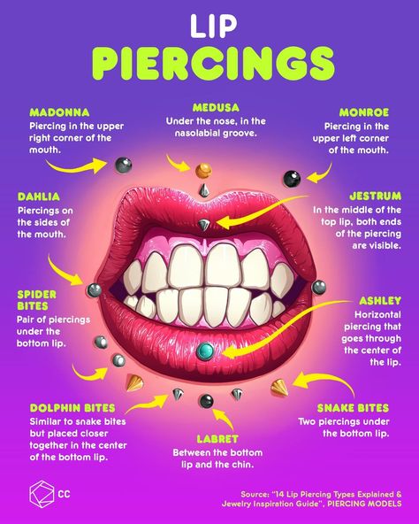 Tattoo Artist Quotes, Ear Piercings Chart, Piercing Chart, Nose Ring Jewelry, Types Of Ear Piercings, Monroe Piercings, Face Piercings, Cool Piercings, Piercing Aftercare