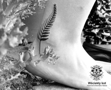 Fern Bracelet Tattoo, Minimal Fern Tattoo, Kiwi Fern Tattoo, Maori Fern Tattoo, Fern Tattoo Women, Silver Fern Tattoo New Zealand, Fern Ankle Tattoo, Nz Fern Tattoo, New Zealand Fern Tattoo