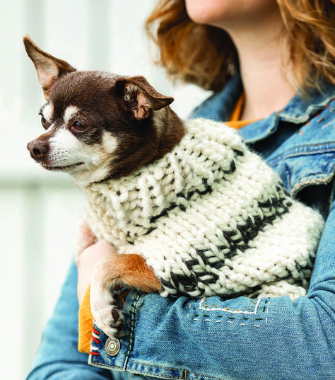 Chunky Knit Small Dog Sweater Chunky Yarn Patterns, Knitting Patterns For Dogs, Crochet Pets, Bulky Yarn Patterns, Diy Dog Sweater, Knitted Dog Sweater Pattern, Knitting Patterns Free Dog, Dog Coat Pattern, Bulky Knit