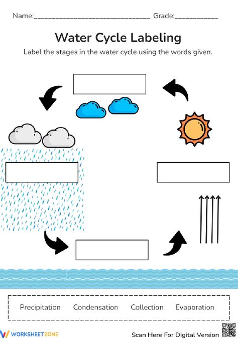 There are four basic steps in the water cycle. Let's your child recall the stages and label the diagram. Take this pdf and practice right now! #watercycle #science #worksheets #interactive #printables #water #environment #labelling #stages #process Water Cycle Picture, Water Cycle Diagram, Concept Map Template, Water Cycle Activities, Water Cycle Worksheet, Water Environment, The Water Cycle, Chemical Science, Concept Map