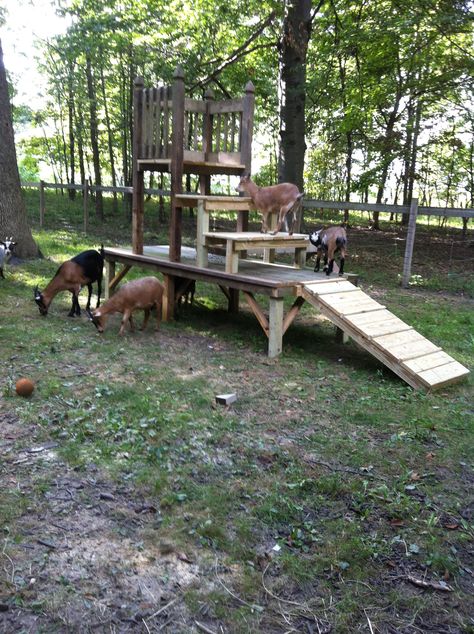 Diy Dog Playground, Goat Enclosure, Goat Yard, Pet Playground, Tire Playground, Snake Farm, Dog Potty Area, Goat Playground, Goat Toys