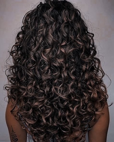 Long Haircut With Layers Curly, Dark Curly Hair With Light Brown Highlights, Dark Brown Hair With Highlights On Curly Hair, Dark Brown Hair Balayage Curly, Black Brown Curly Hair, Dark Permed Hair, Black Hair Balayage Curly, Highlights For Dark Brown Hair Curly Long Layered, Black Curly Hair Color Ideas