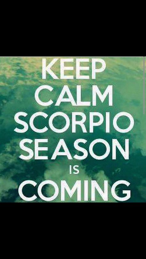 Scorpio Season is Coming Scorpio Season Is Coming, All About Scorpio, Zodiac Quotes Scorpio, Learn Reiki, The Scorpions, Scorpio Girl, Scorpio Zodiac Facts, Scorpio Quotes, Iron Man Art