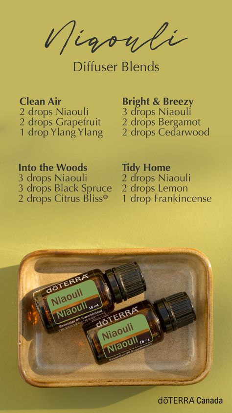 Niaouli Diffuser Blend, Niaouli Essential Oil Uses, Oregano Benefits, Essential Oils Uses Chart, Niaouli Essential Oil, Doterra Oils Recipes, Doterra Diffuser, Doterra Diffuser Blends, Doterra Essential Oils Recipes