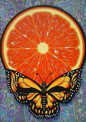 Orange Butterfly Stealie Grateful Dead Tattoo, Sunflower Tattoos, Rock N’roll, Forever Grateful, Grateful Dead, Concert Posters, Skull Art, Up Girl, A Butterfly