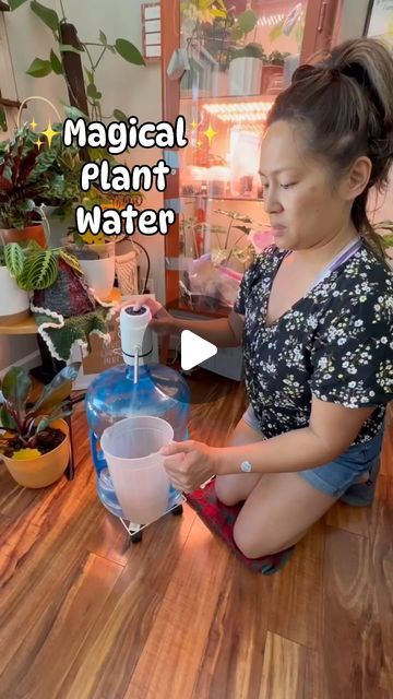 Halaman on Instagram: "Why Use ✨Magical✨ Plant Water?   Well if you DON’T want an all-in-one solution with nutrients, dechlorinated water, and gnat killing powers, then this isn’t for you.  If you’re not FROND 🌿 of bigger and fuller plants, then keep scrolling.   ✨MAGICAL✨ PLANT WATER RECIPE 💧1 5-gallon water jug 💧 1/2 Tsp of Stress Coat Solution  ✨Removes chlorine, which some plants hate, and basically makes your water like distilled water.  💧1 Drop of BTI Drops (Bacillus Thuringiensis  Israelensis) ✨Helps kill fungus gnat babies in the soil  💧Liquid fertilizer: I like superthrive foliage pro. Follow instructions on the container. ✨Quickest way to get nutrition to your plants. Regular usage can increase the growth and production of your plants. 💧Water Dispenser (Optional, but will m Bacillus Thuringiensis, Magical Water, Gallon Water Jug, Houseplant Care, Plant Watering, Liquid Fertilizer, House Plant Care, Water Recipes, Indoor Gardening