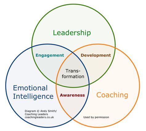 leadership emotional intelligence coaching Life Coach Training, Leadership Abilities, Leadership Skill, Leadership Management, Leadership Tips, Leadership Training, Business Leadership, Emotional Awareness, Coaching Tools