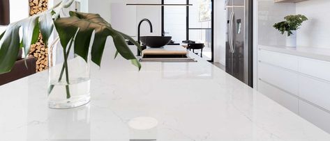 Calacatta Botanica Quartz White Quartz Countertops Q Premium NATURAL Quartz Calacatta Botanica Quartz, Calacatta Botanica, Msi Quartz Countertops, Quartz Countertop Colors, Green Building Design, Calacatta Quartz, White Quartz Counter, Bright White Background, Countertop Colours