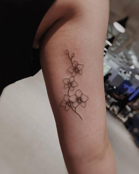 Orchid And Cherry Blossom Tattoo, Orchid Color Tattoo, Orchid Line Drawing, Fine Line Orchid Tattoo, Baby Breath Tattoo, Orchid Tattoos, Ny Tattoo, Orchid Flower Tattoos, Flowers Orchids