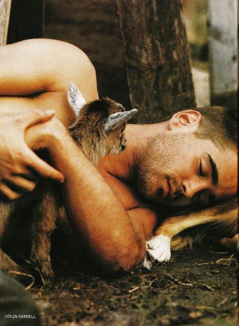 Colin Farrell Bruce Weber, Colin Farrell, Baby Goats, Irish Men, Best Actor, Celebrities Male, Beautiful People, Eye Candy, A Man