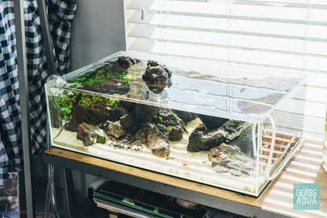 Side Angle of our new 10 gallon aquascape in a shallow rimless aquarium tank. Shallow Tank Aquascape, Shallow Aquascape, 10 Gallon Aquascape, Shallow Aquarium, Aquarium Coffee Table, Rimless Aquarium, Fish Garden, Aquascape Design, Betta Aquarium